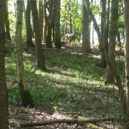 Westhurst Park Bnb Bredon Zewnętrze zdjęcie