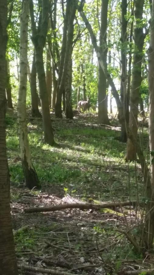 Westhurst Park Bnb Bredon Zewnętrze zdjęcie