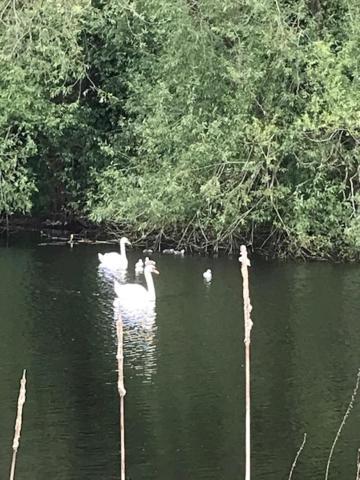 Westhurst Park Bnb Bredon Zewnętrze zdjęcie